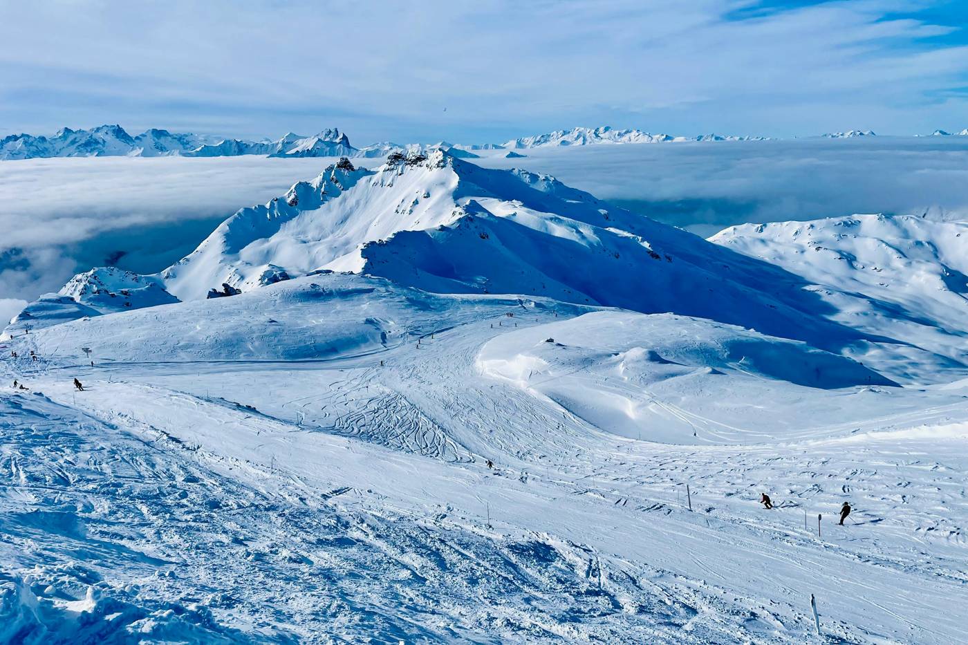 Peisey-Vallandry forest slopes